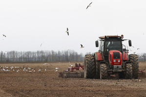 Головченко: весенний сев должен быть проведен в оптимальные сроки с соблюдением всех требований