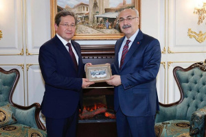 В турецкой провинции Адана обсудили перспективы сотрудничества с Беларусью