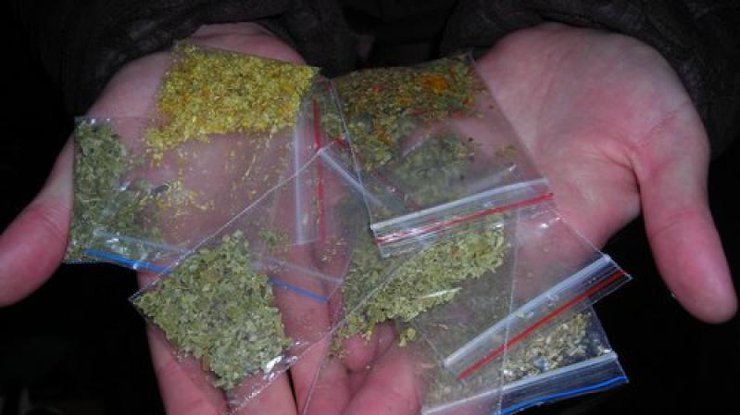 Двое жителей Шклова организовали поставку наркотиков в Витебскую область