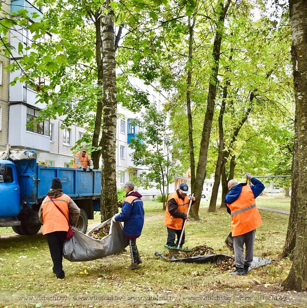План по наведению порядка в Витебске почти выполнен, но работы ещё много