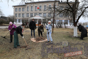 В Витебске объявлен месячник по озеленению, санитарной очистке и благоустройству города
