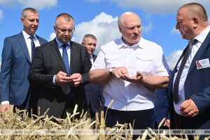 Лукашенко продолжит поездки по регионам: посетит Витебскую область и рассмотрит работу интеграционных объединений в АПК