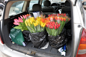 Как заработать на продаже цветов к 8 Марта и не нарушить закон?