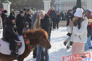 Горисполком определил места для катания на лошадях (пони) и гужевых повозках в Витебске