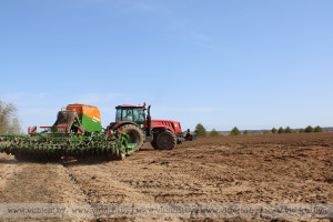 В Витебской области посеяно 31,3 тысячи гектаров яровых зерновых и зернобобовых культур