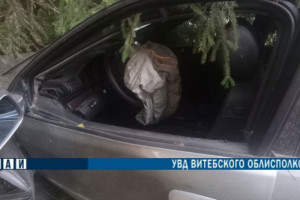 В Россонском районе легковушка врезалась в дерево. Пострадал ребенок-пассажир