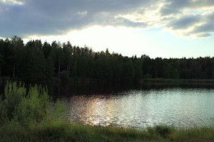 С начала купального сезона на водоемах Витебской области погибли порядка 30 человек, из них 2 детей