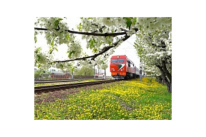 Белорусская железная дорога назначила 75 дополнительных поездов в период с 29 апреля по 10 мая