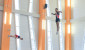 Более ста спортсменов со всей Беларуси приняли участие в чемпионате Беларуси по прыжкам на батуте в Витебске