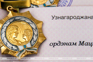 Орденом Матери награждены 49 жительниц Витебской, Гродненской и Могилевской областей