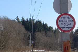 Жизнь и здоровье дороже рыбки маленькой и большой: правила электробезопасности во время рыбной ловли
