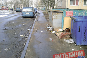 Стихийные свалки и несвоевременный вывоз мусора выявил госсаннадзор в Витебской области