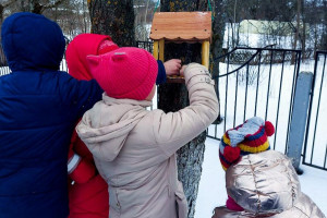 Учащиеся Старосельской школы Витебского района помогают выжить птицам зимой