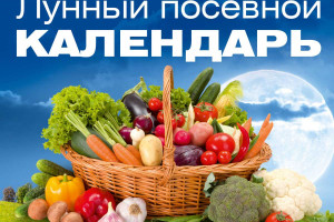 Посевной лунный календарь на неделю с 3 по 9 июня