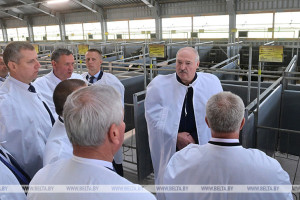 Александр Лукашенко: для сельского хозяйства наступил золотой век
