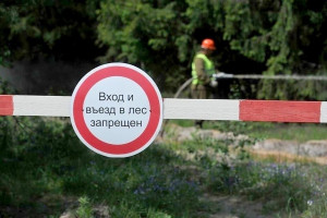 С 23 августа введен запрет на посещение Государственного лесного фонда на территории Витебского района