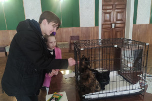 В витебском КДЦ «Первомайский» прошла благотворительная акция в помощь приюту для бездомных животных «Добрик» 