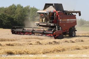 «Должны пользоваться своим!» Александр Лукашенко потребовал от сельхозпредприятий переходить на белорусскую технику