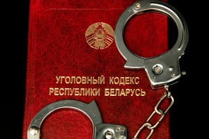 Прокуратура города Витебска направила в суд резонансное уголовное дело за жестокое обращение с животными