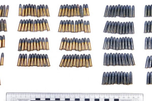 229 патронов для нарезного оружия изъяли правоохранители у жителя Витебска