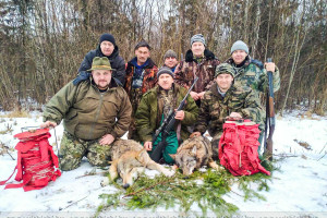 Витебская областная организационная структура БООР объявила охотничий конкурс по добыче волка для членов своей организации
