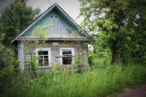 После вмешательства КГК в Витебской области приняты дополнительные меры  по вовлечению в хозоборот пустующих домов