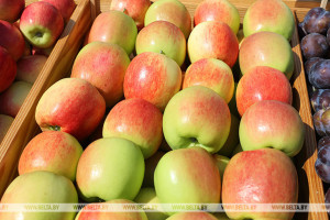 Наценка на яблоки и лук бывает под 300%! Лукашенко потребовал жестко разобраться со спекулянтами