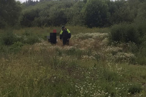 В Шумилинском районе женщина отправилась в лес за ягодами и заблудилась