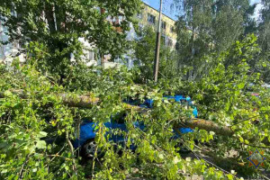 Спасатели ликвидируют последствия непогоды на Витебщине