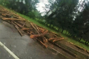 В Бешенковичском районе перевернулся прицеп лесовоза