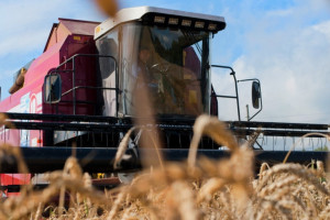 Витебский район стал первым среди районов области на уборке урожая зерновых и зернобобовых культур, а также рапса