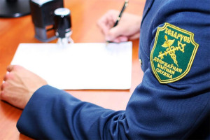 Таможенные органы Беларуси принимают меры по защите прав на объекты интеллектуальной собственности