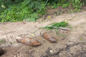 Мужчина в Оршанском районе нашел почти 100 боеприпасов времен ВОВ