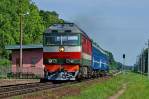 В Оршанском районе женщина попала под поезд