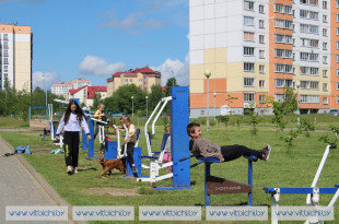 Фотовзгляд: Витебск, в котором мы счастливы