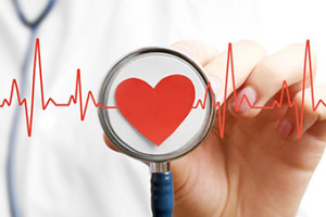 Бесплатную консультацию врача-кардиолога смогут получить витебчане 29 сентября