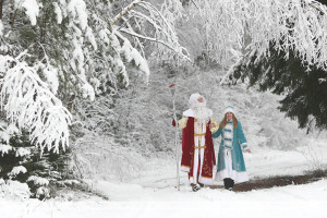 Около 15 новогодних резиденций Дедов Морозов будут работать в районах Витебской области в этом году