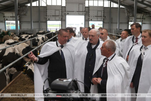 Лукашенко об АПК: не сырье надо вывозить, а готовую продукцию