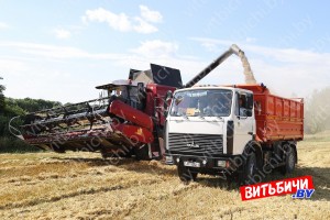 КГК Витебской области проконтролировал ход уборочных работ в более чем 100 сельхозорганизациях области