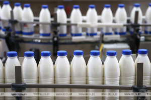 Председатель Миноблисполкома предложил Александру Лукашенко поднять цены на молоко. Ответ Президента его не обрадовал