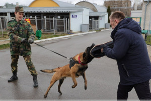 В питомнике служебных собак Витебского областного управления охраны кинологи обменялись опытом с российскими коллегами