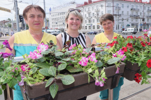 Миллион цветов для города. «Витебский Зеленстрой» работает над украшением Витебска