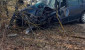 В Городокском районе в ДТП погиб водитель