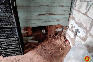 Житель Верхнедвинского района ограбил магазин и спрятал "добычу" в кустах. Возбуждено уголовное дело