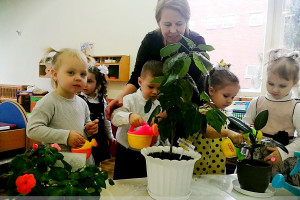Посмотрите, как в Дошкольном центре развития ребенка № 2 г. Витебска малышей учат ухаживать за цветами