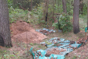 В Бешенковичском районе найдены костные останки, предположительно, времен Великой Отечественной войны