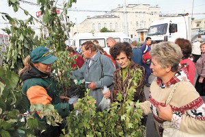 Догонят ли белорусские яблоки по стоимости виноград? Актуальные цены на рынках Витебска
