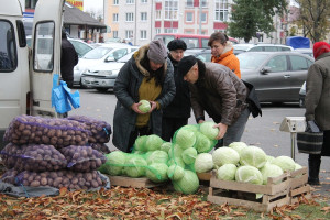 На «Полоцком» яблоки по 2 рубля, а на «Смоленском»? Сравнили цены на овощи, фрукты и ягоды на рынках Витебска