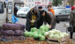 На «Полоцком» яблоки по 2 рубля, а на «Смоленском»? Сравнили цены на овощи, фрукты и ягоды на рынках Витебска