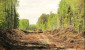 В Лепельском лесхозе стартовало строительство экспериментальной лесной дороги по уникальной для Беларуси технологии